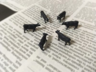 「特選牛」ユーザーの壱岐ファーム様が新聞掲載