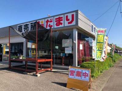 直売所「陽だまり」がオープンしました