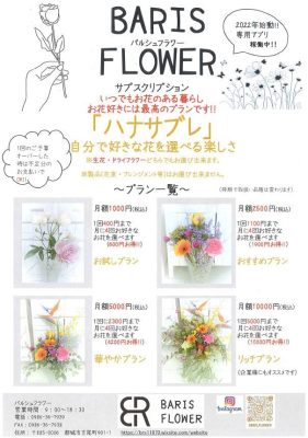 都城バルシュフラワーでお花のサブスク運用開始🌼