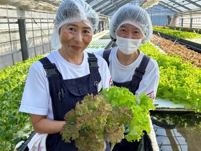 農産物直売店　ぶどう畑