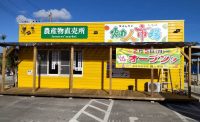 沖縄と宮崎で新規農産物直売所がプレオープンします！